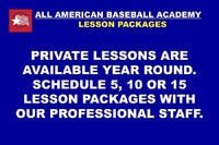 Copyright All American Baseball Academy 2009 All rights reserved.