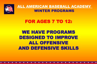 Copyright All American Baseball Academy 2009 All rights reserved.